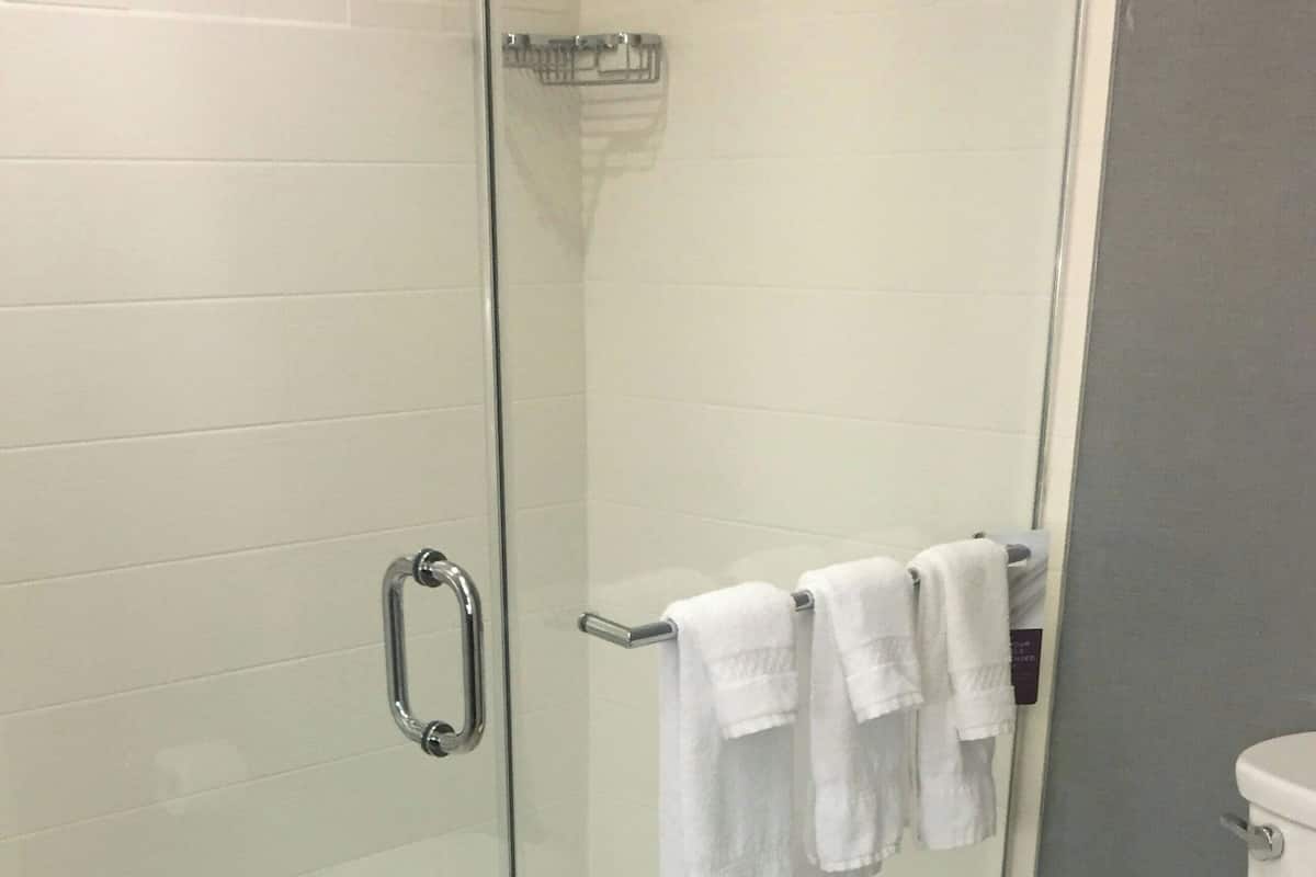 Separate tub and shower, hair dryer, towels
