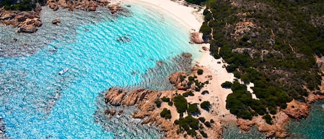 Nära stranden