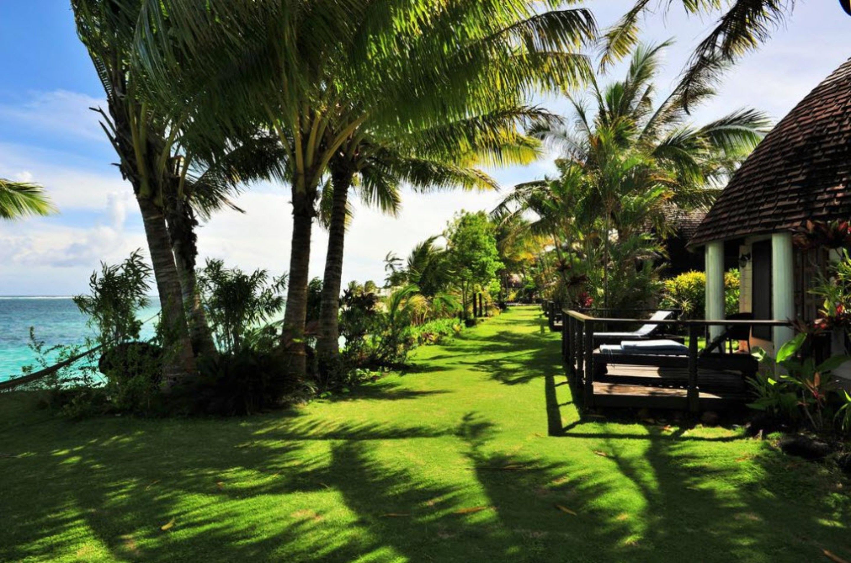 Un resort tropical con un camino que lleva a una playa, rodeado de palmeras y una cabaña pequeña.
