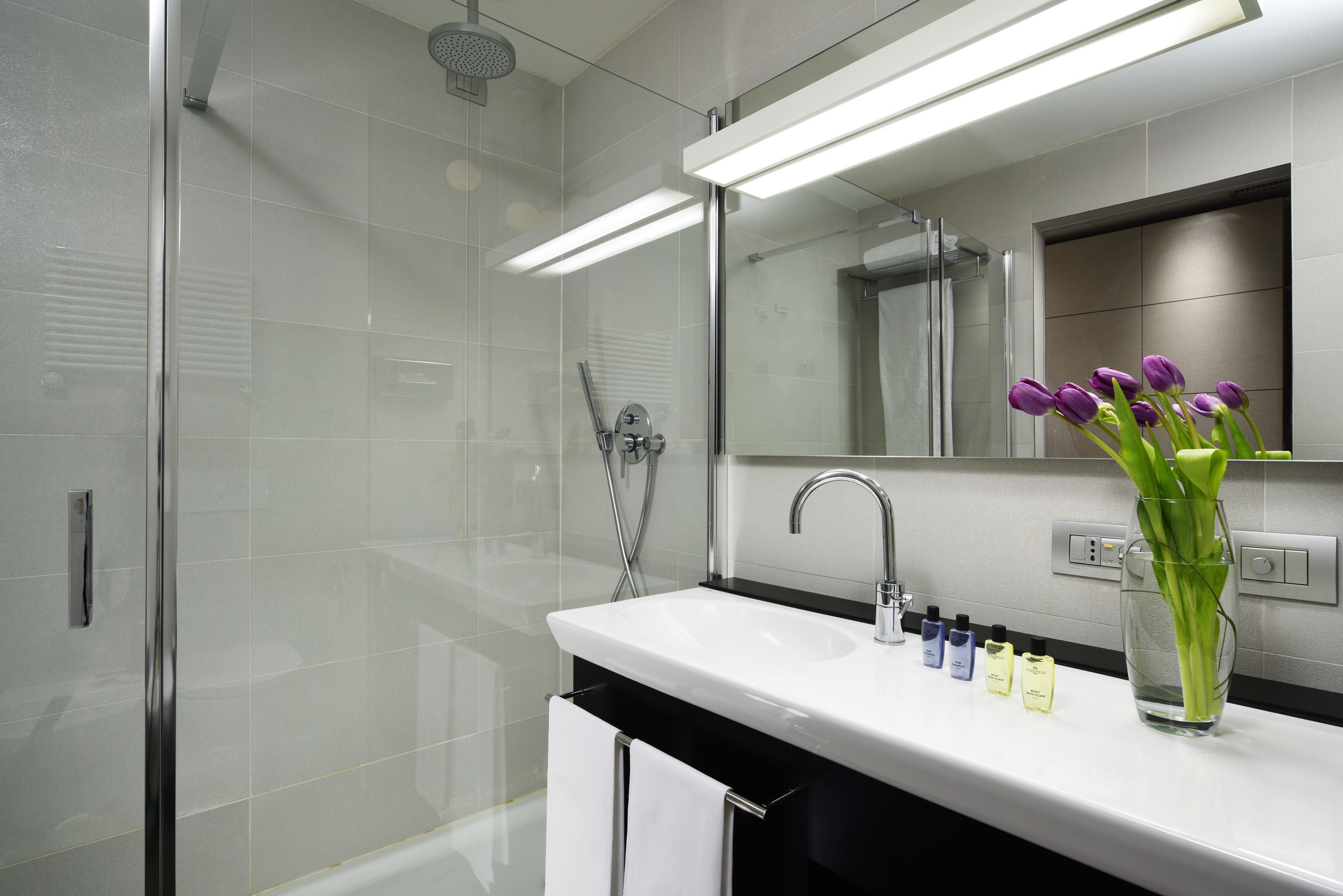 free toiletries, hair dryer, towels