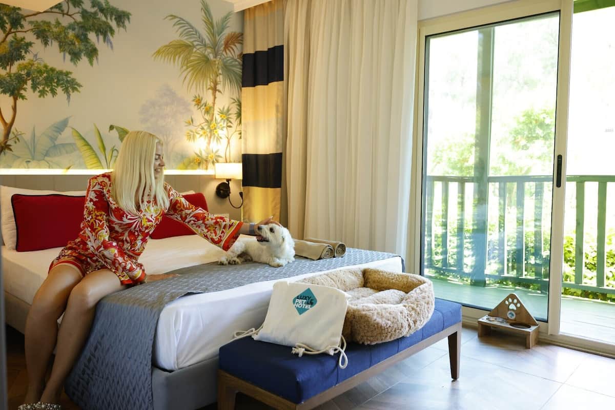 2 camere, biancheria da letto di alta qualità