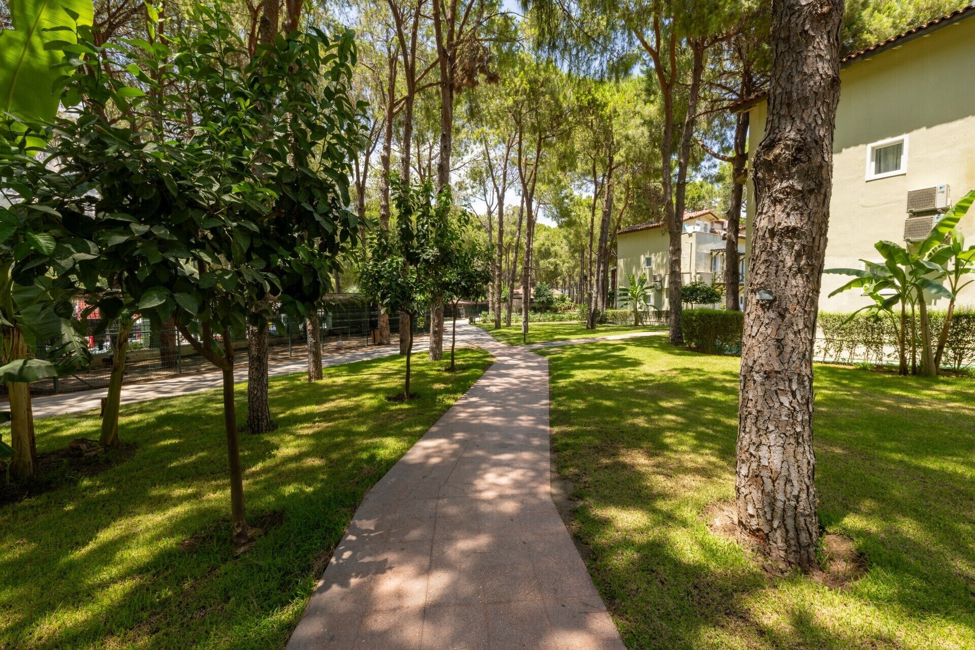 Foto - Crystal Flora Pearl Collection - Ultimate All Inclusive