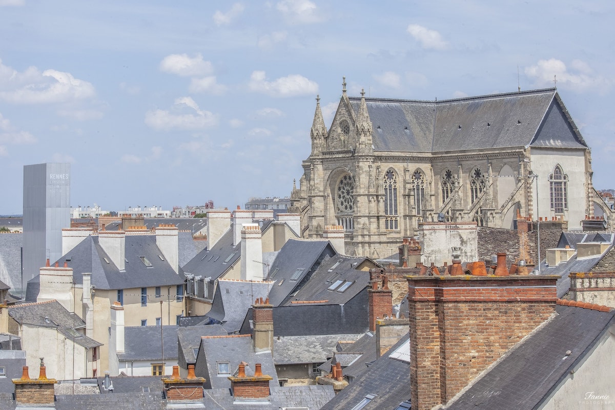 Premium bedding, minibar, desk, blackout curtains