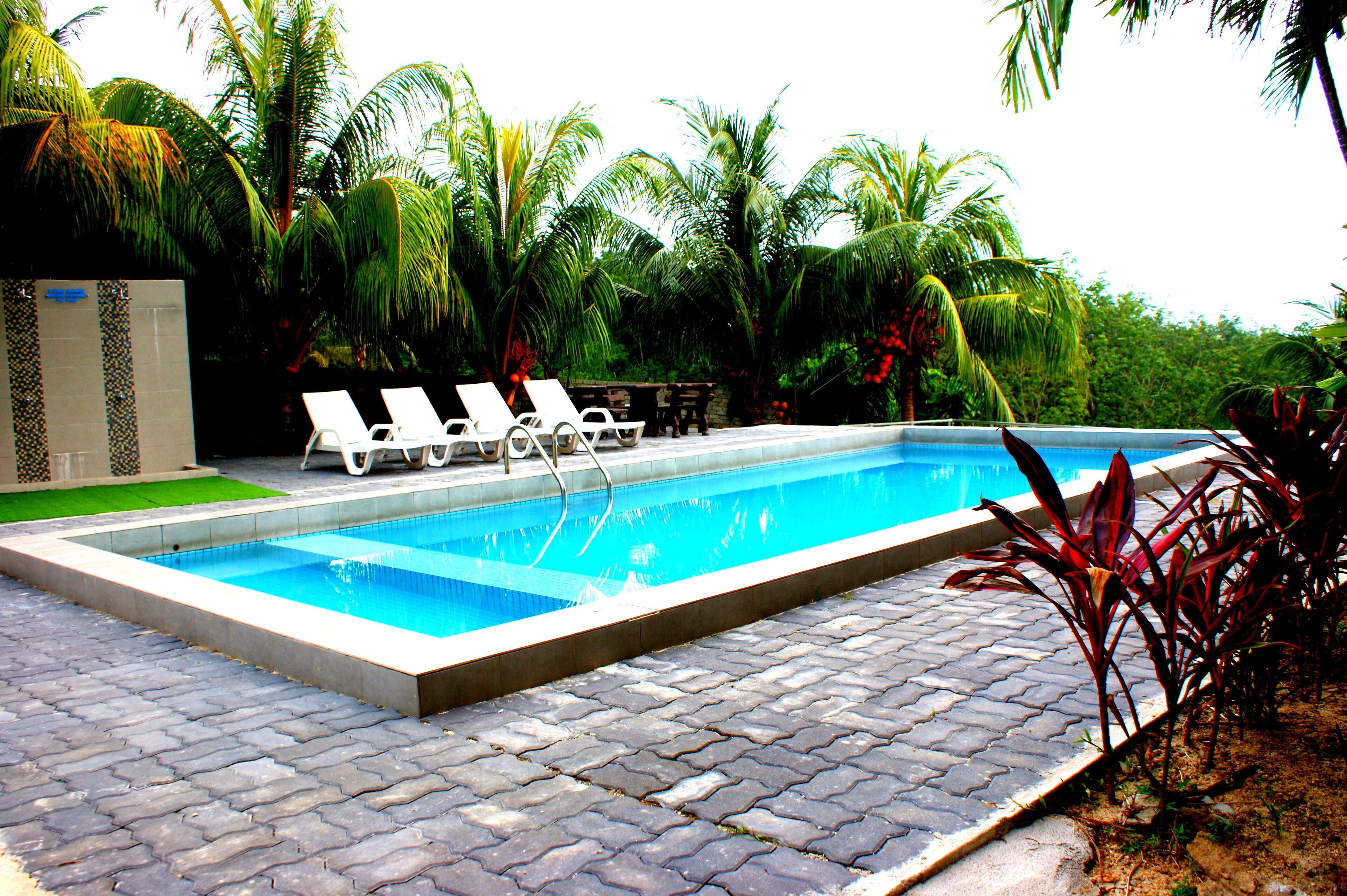 Outdoor pool, pool loungers