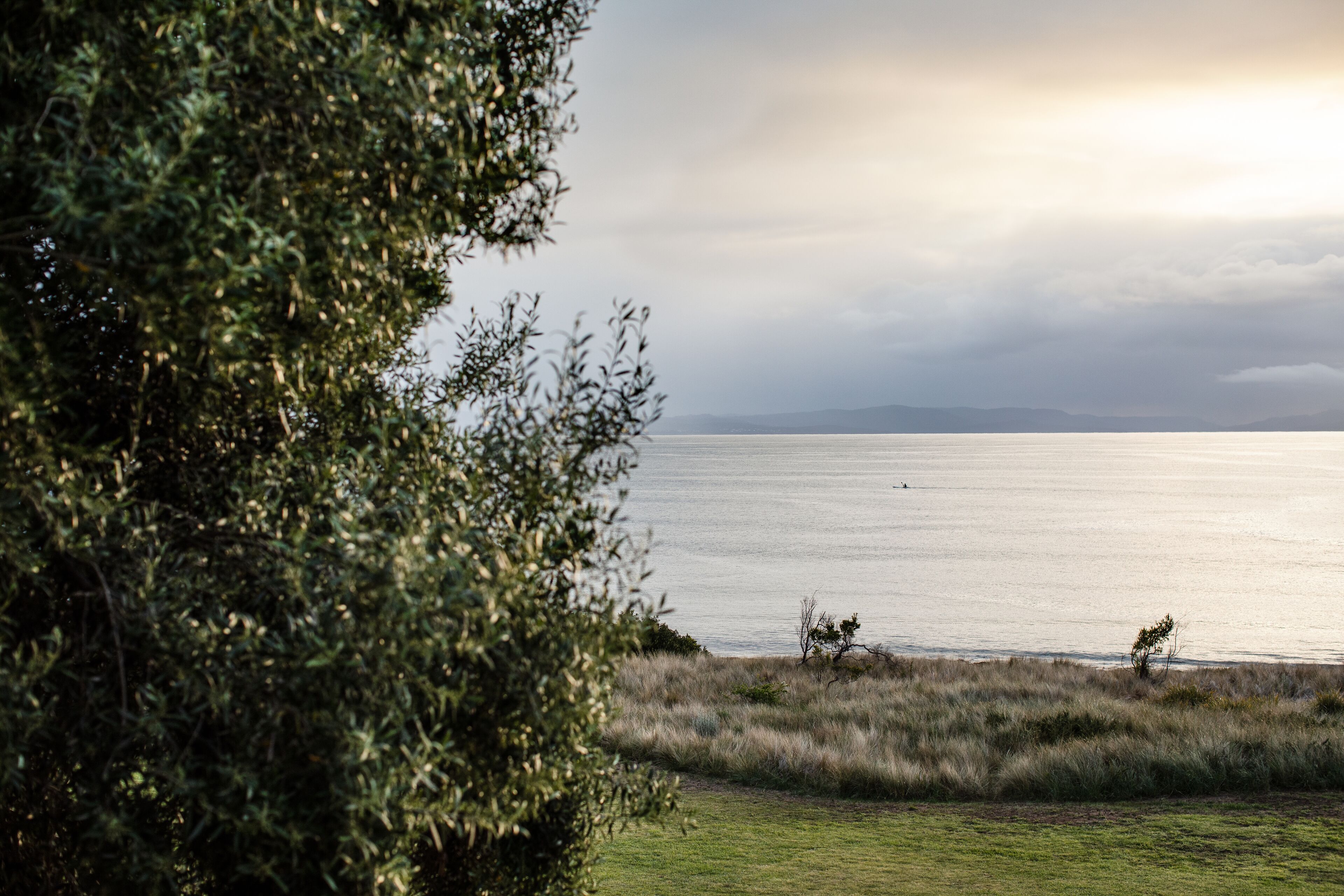 A coastal landscape with a grassy foreground and a body of water in the background.