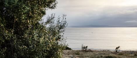A coastal landscape with a grassy foreground and a body of water in the background.