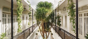 Brown Feather Batu Belig