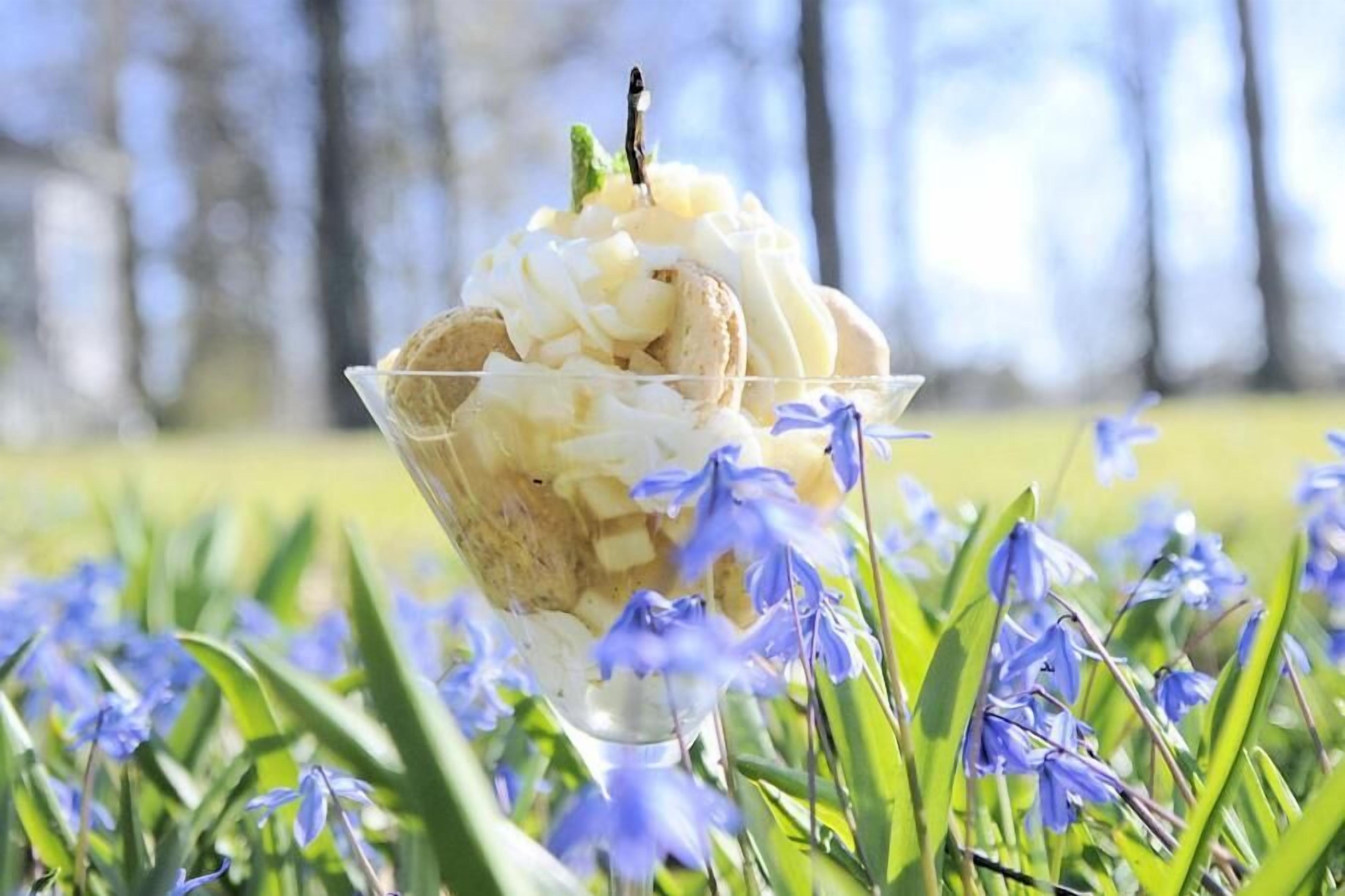 A bowl of ice cream with a mint leaf on top, placed on grass with blue flowers around.