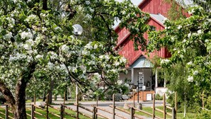 Et rødt ladehus med en hvid dør, omgivet af blomstrende træer og et træhegn.