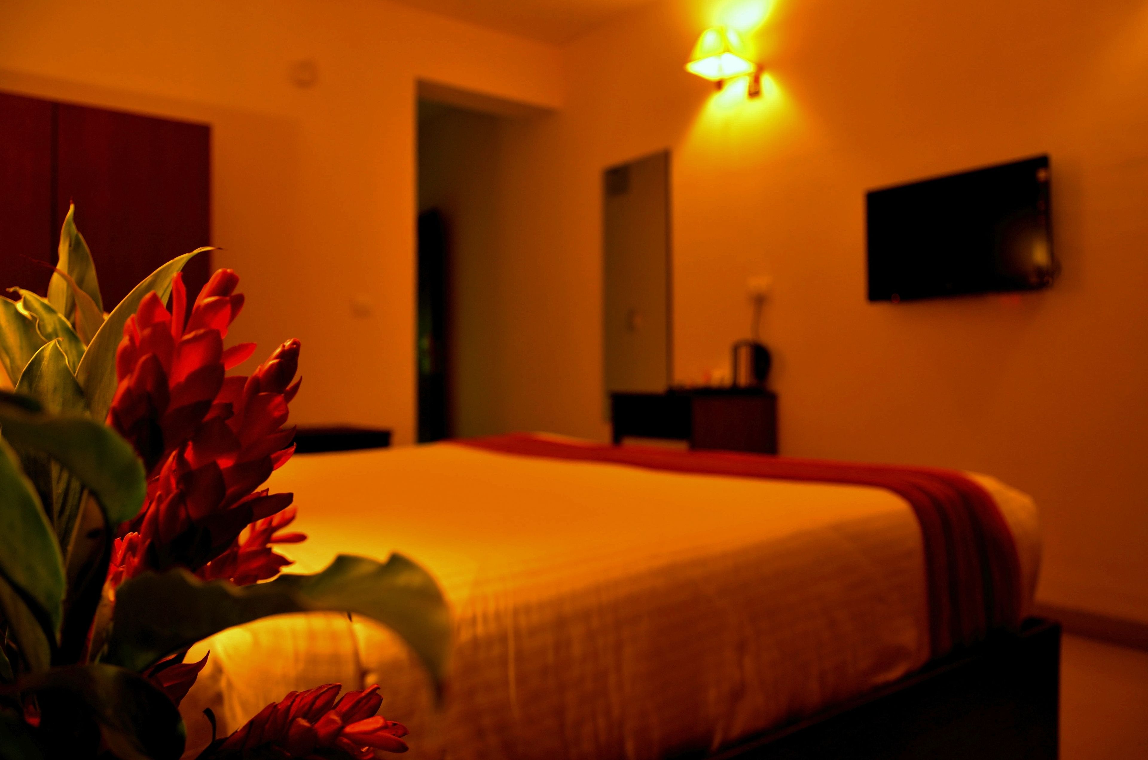 Une chambre d’hôtel avec un lit, un téléviseur fixé au mur et une plante sur le côté gauche.