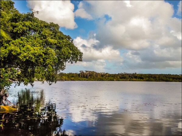 ทะเลสาบ