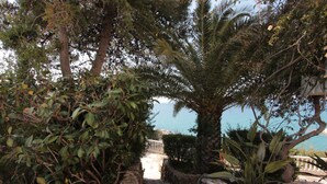 A stone staircase leading to a balcony with a view of the sea. - Apollon Apartments (West Mani)