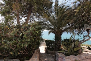 Garden - Apollon Apartments (West Mani)