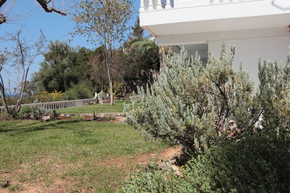 Un jardín ajardinado con diversos arbustos y árboles, un edificio blanco con balcón y un cielo azul despejado.