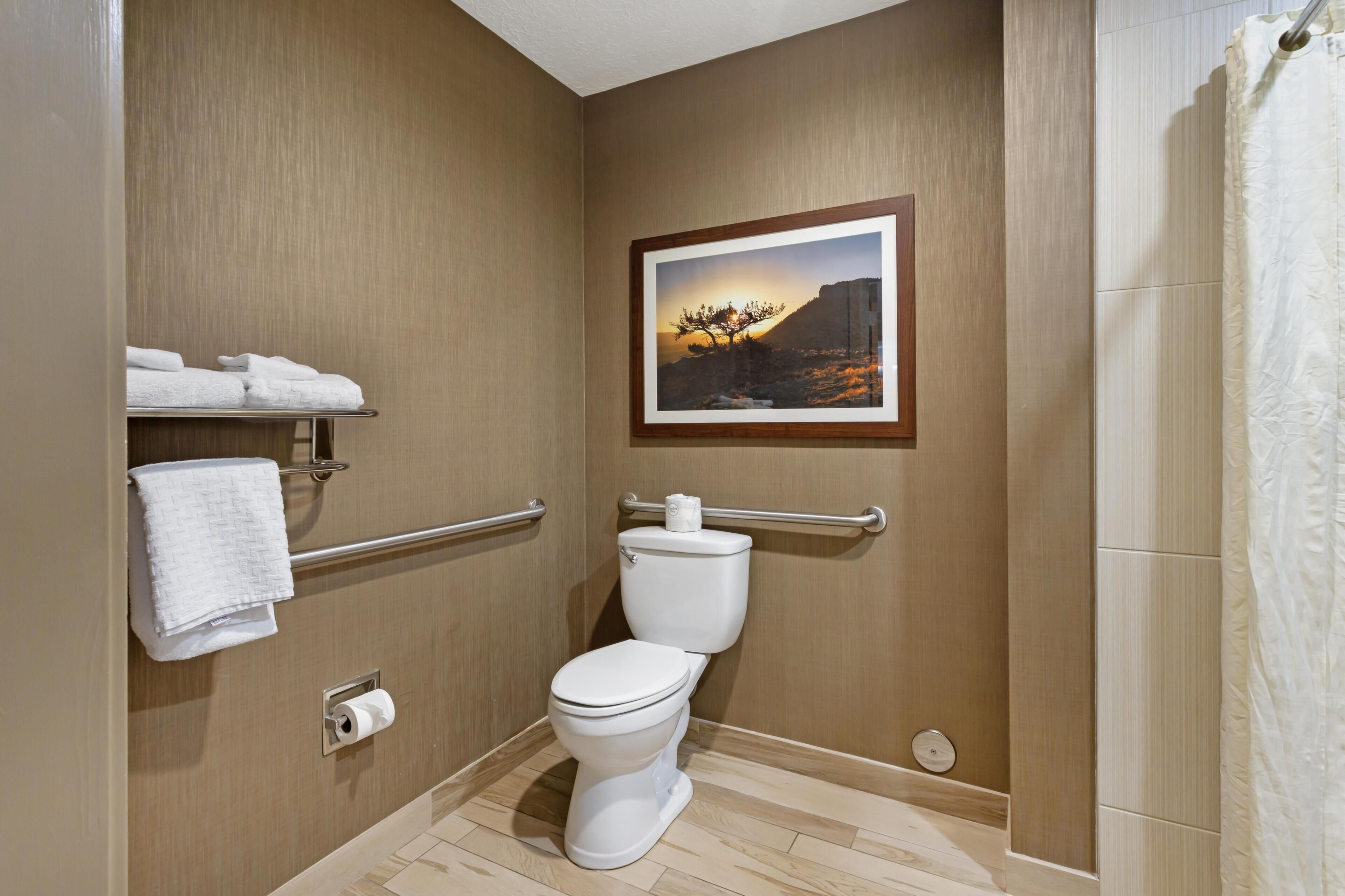 Combined shower/tub, free toiletries, hair dryer, towels