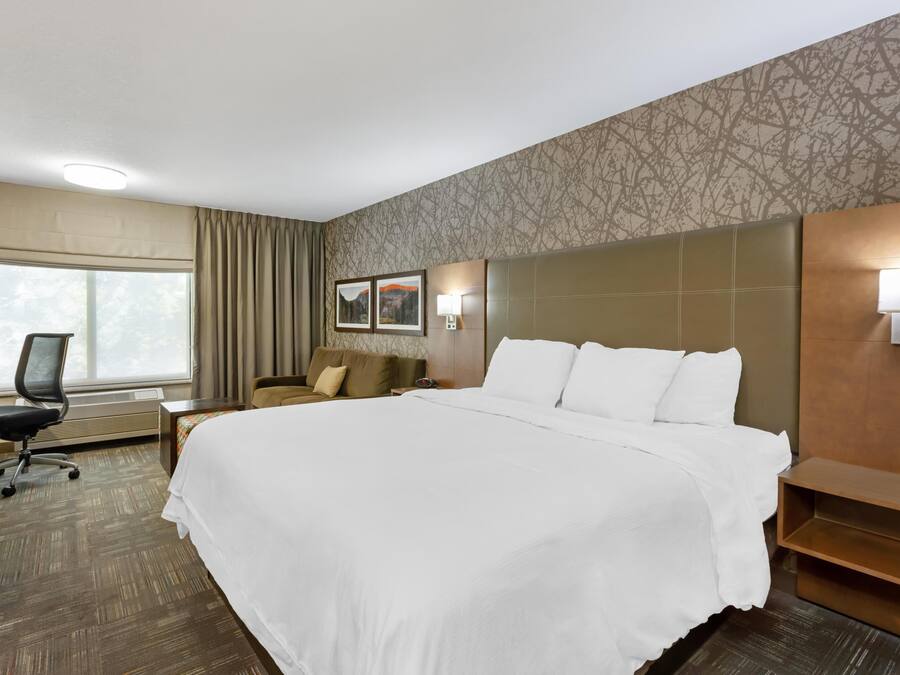 Standard Room, 1 King Bed, Non Smoking (with Sofabed) | Iron/ironing board, cribs (free), WiFi (free), bed sheets