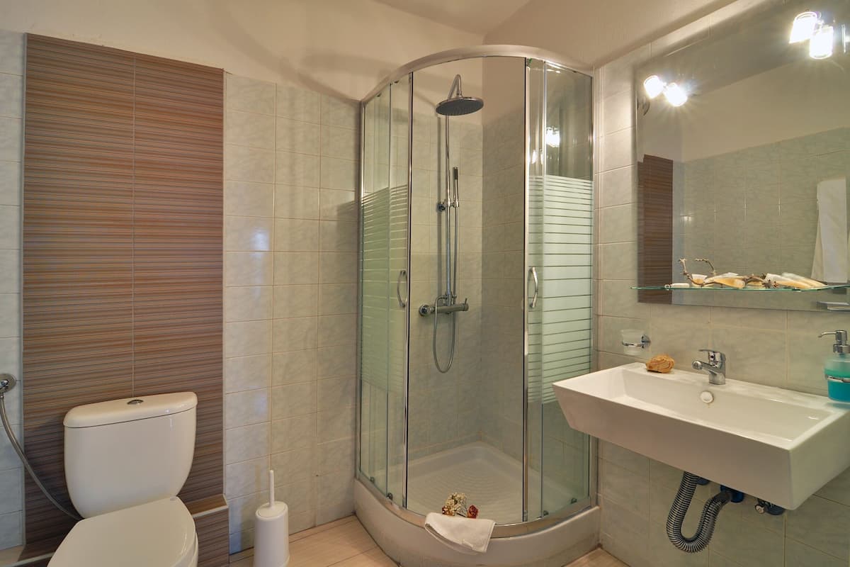 shower, towels, toilet paper