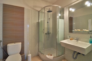 Shower, towels, toilet paper