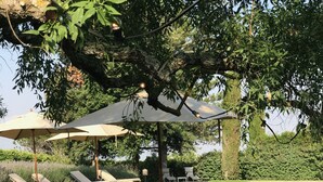 室外游泳池，池畔遮阳伞，日光浴躺椅