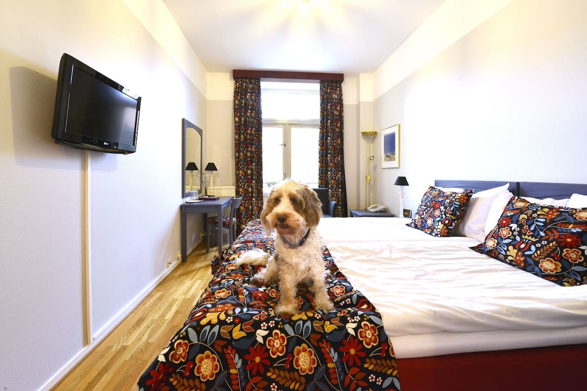Iron/ironing board, free WiFi, bed sheets