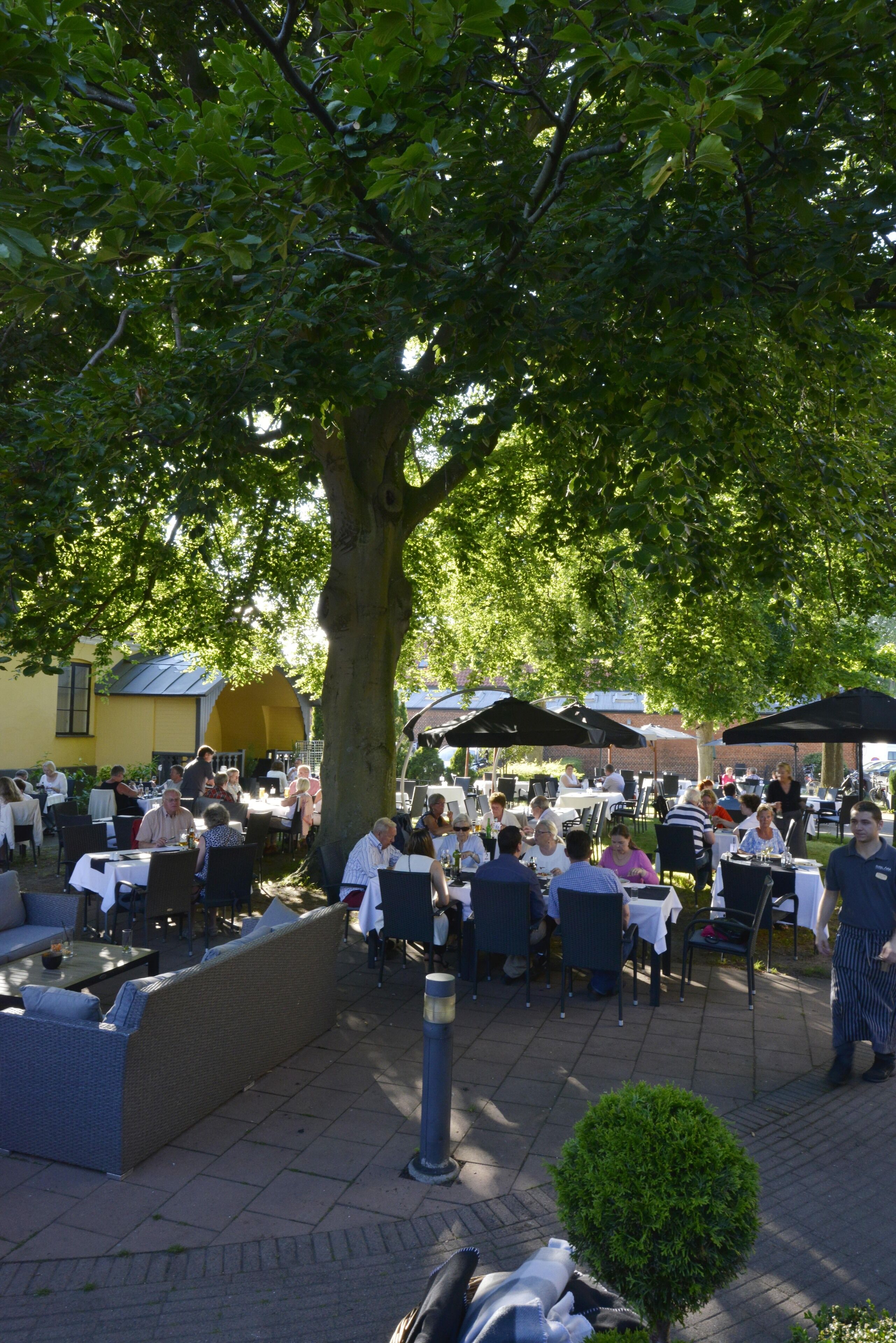 An outdoor dining area with tables and chairs under a large tree.