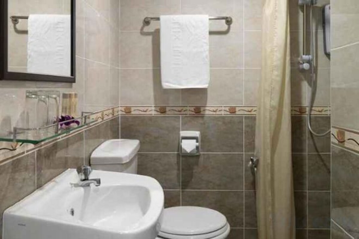 Shower, hair dryer, bidet, towels