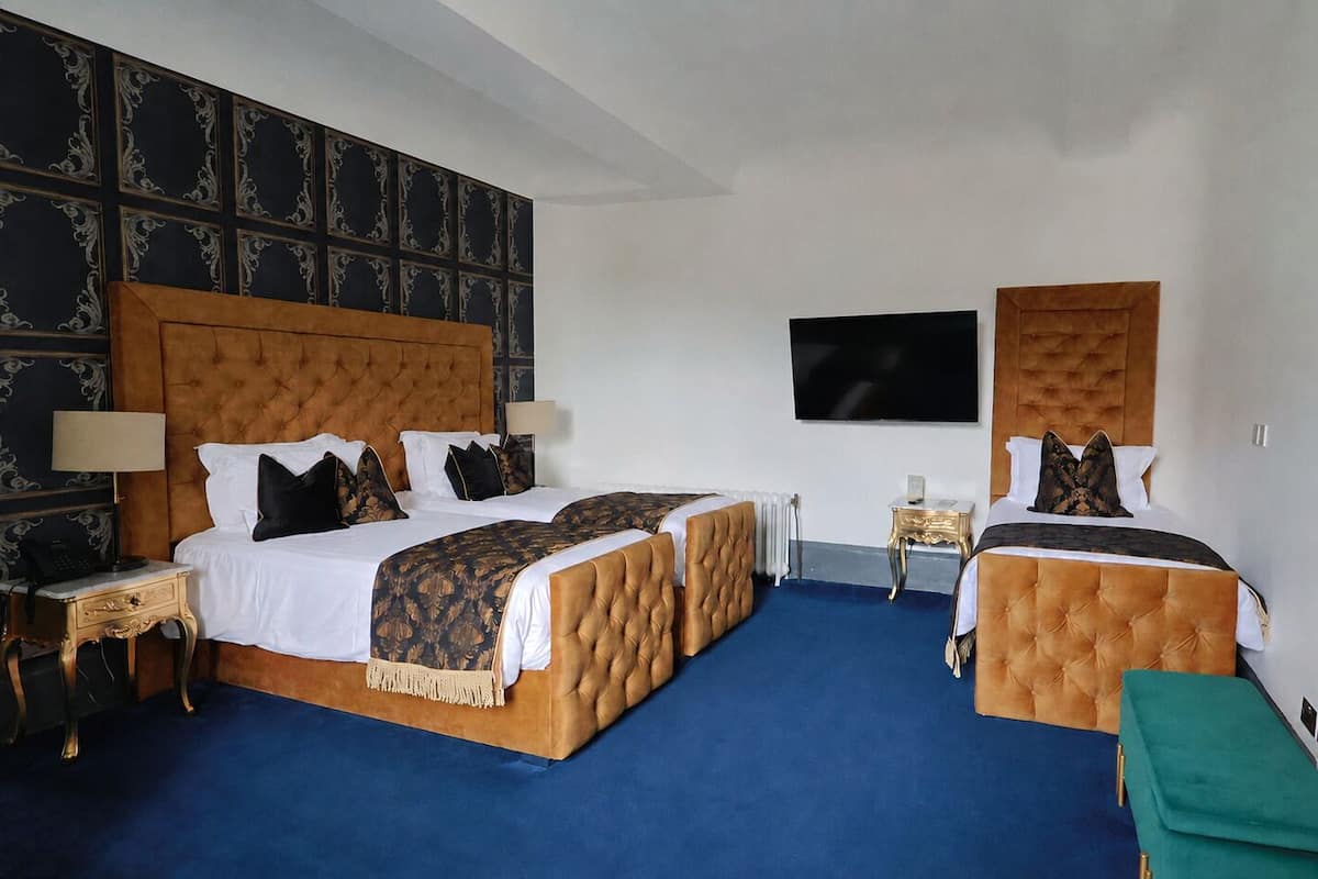 Iron/ironing board, WiFi (surcharge), bed sheets