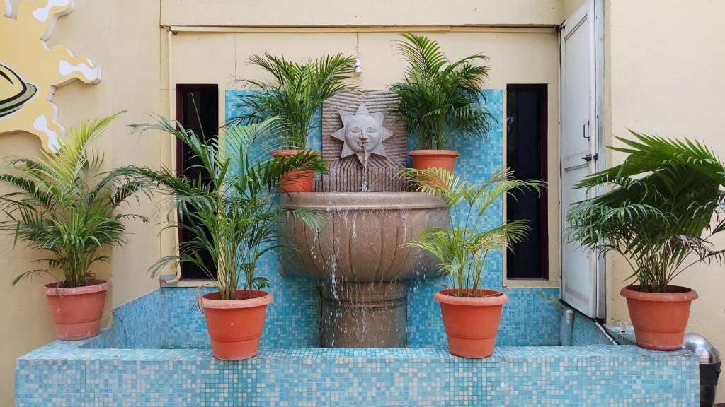 A fountain with a face, surrounded by potted plants, and a tiled wall.