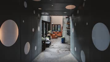 庭院