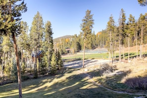 Apartment, 2 Bedrooms | View from room