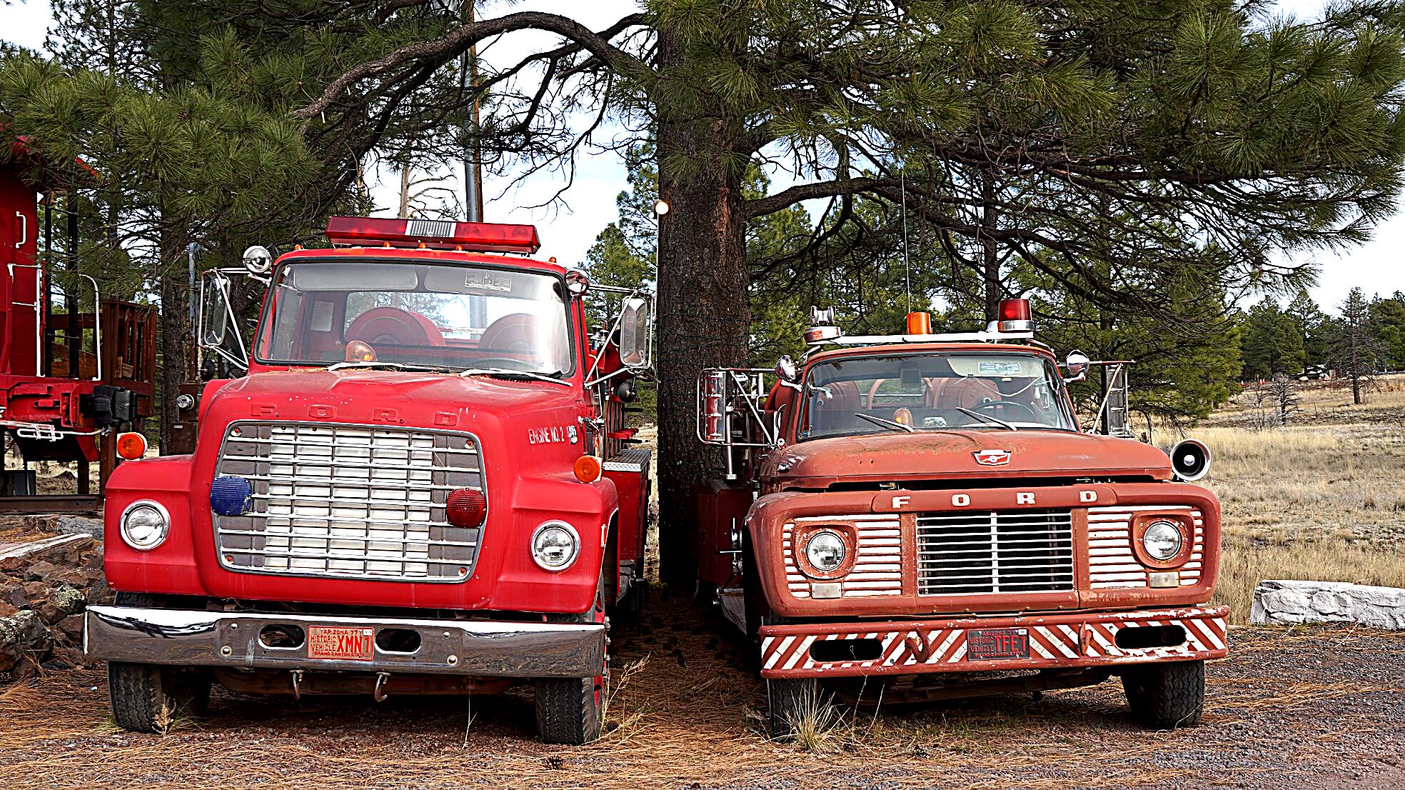 Dos camiones de bomberos antiguos estacionados al aire libre, rodeados de árboles.