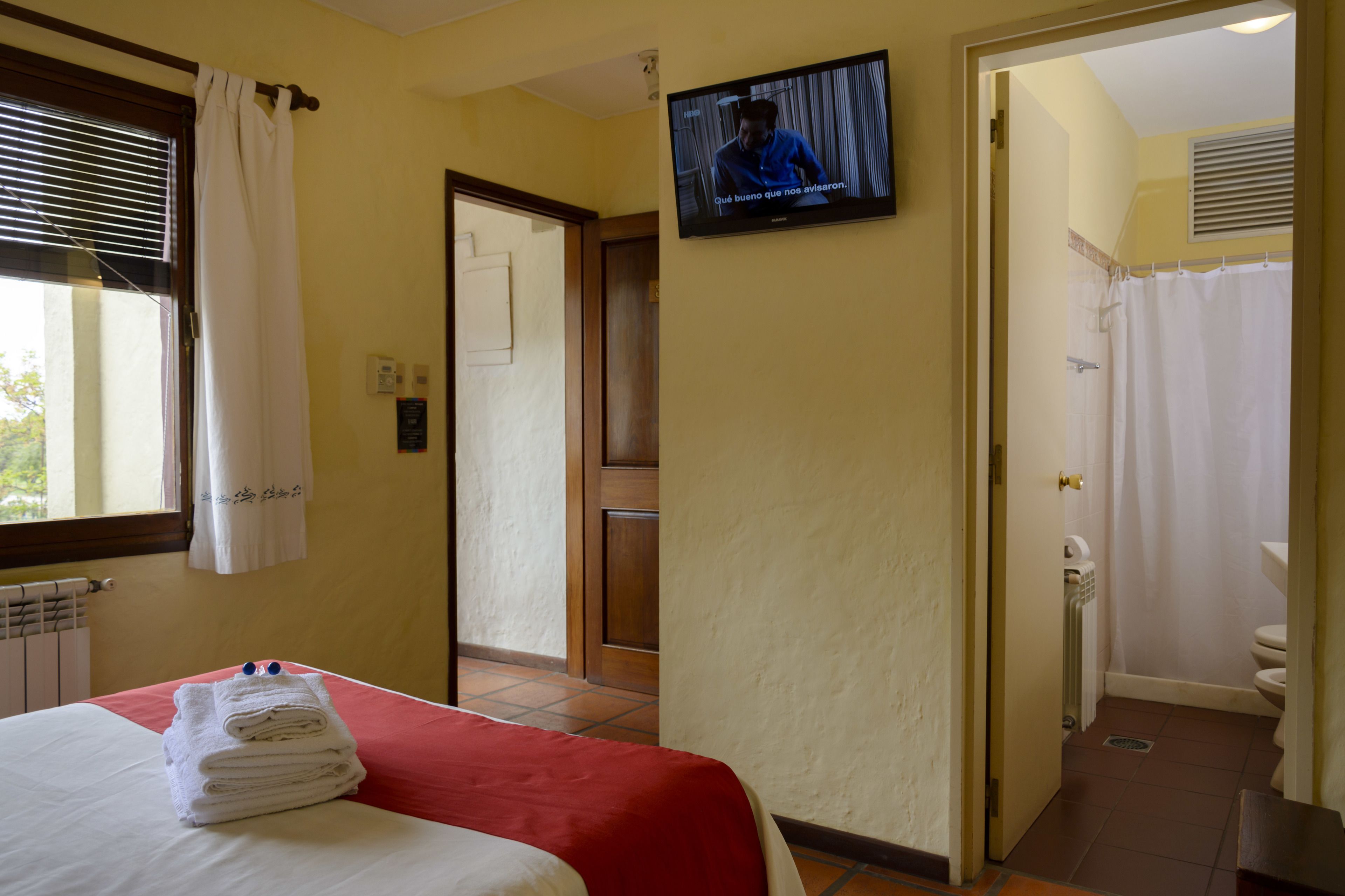 A hotel room with a bed, a television, a bathroom with a shower curtain, and a radiator.