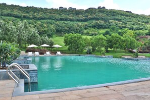 Outdoor pool, sun loungers