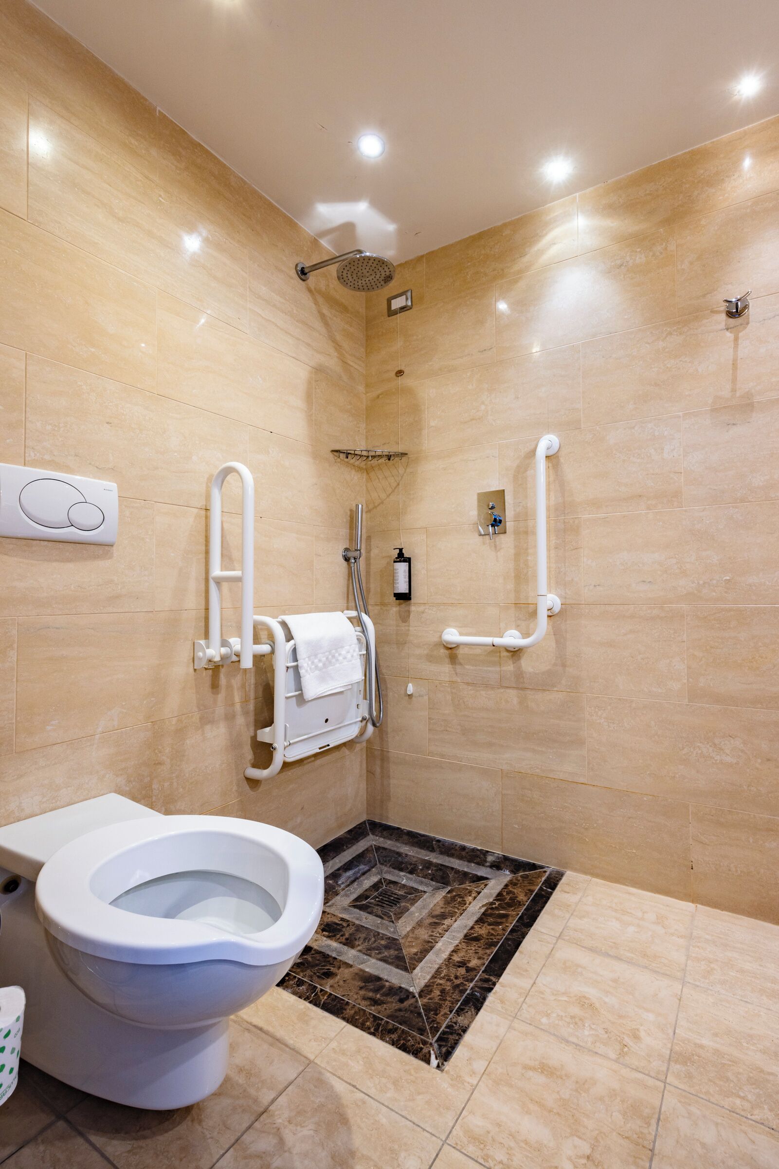 Un bagno con un WC, una doccia dotata di maniglioni e un asciugamani ad aria.