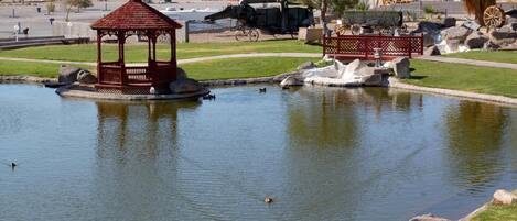 A pond with a gazebo, ducks, and a historical display with a steam engine.