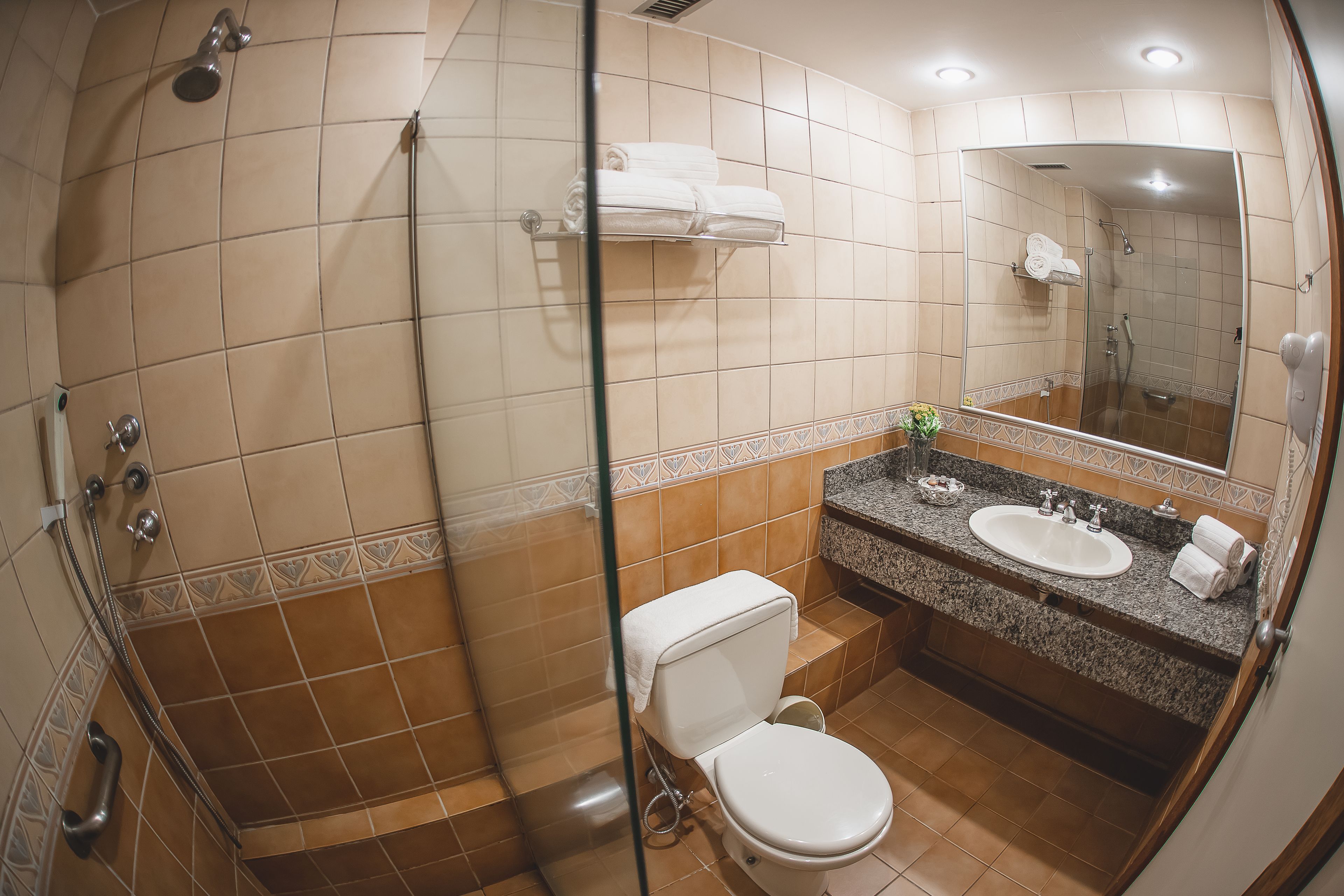 shower, free toiletries, hair dryer, towels