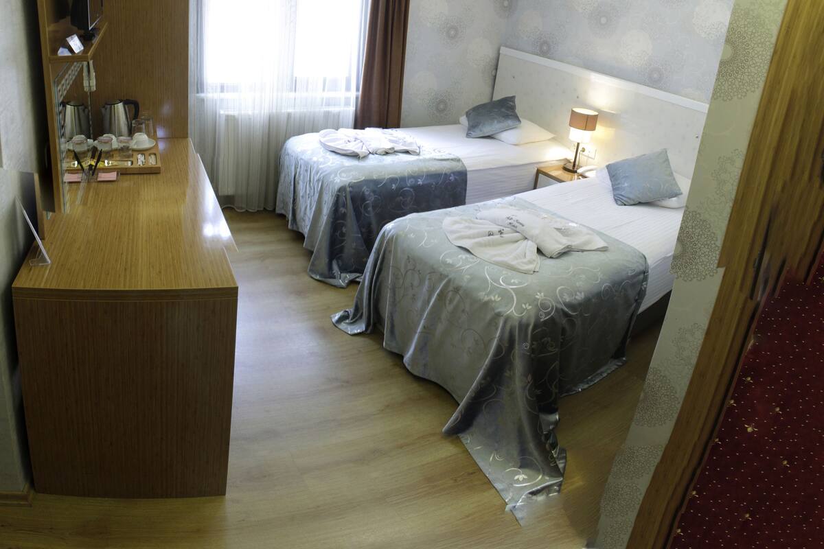Habitación estándar con 2 camas individuales | Minibar y caja de seguridad en la habitación