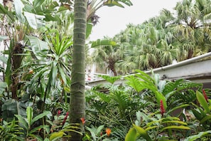 Jardín