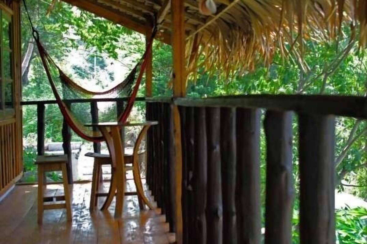 A wooden deck with a thatched roof, a hammock, and a wooden bench.