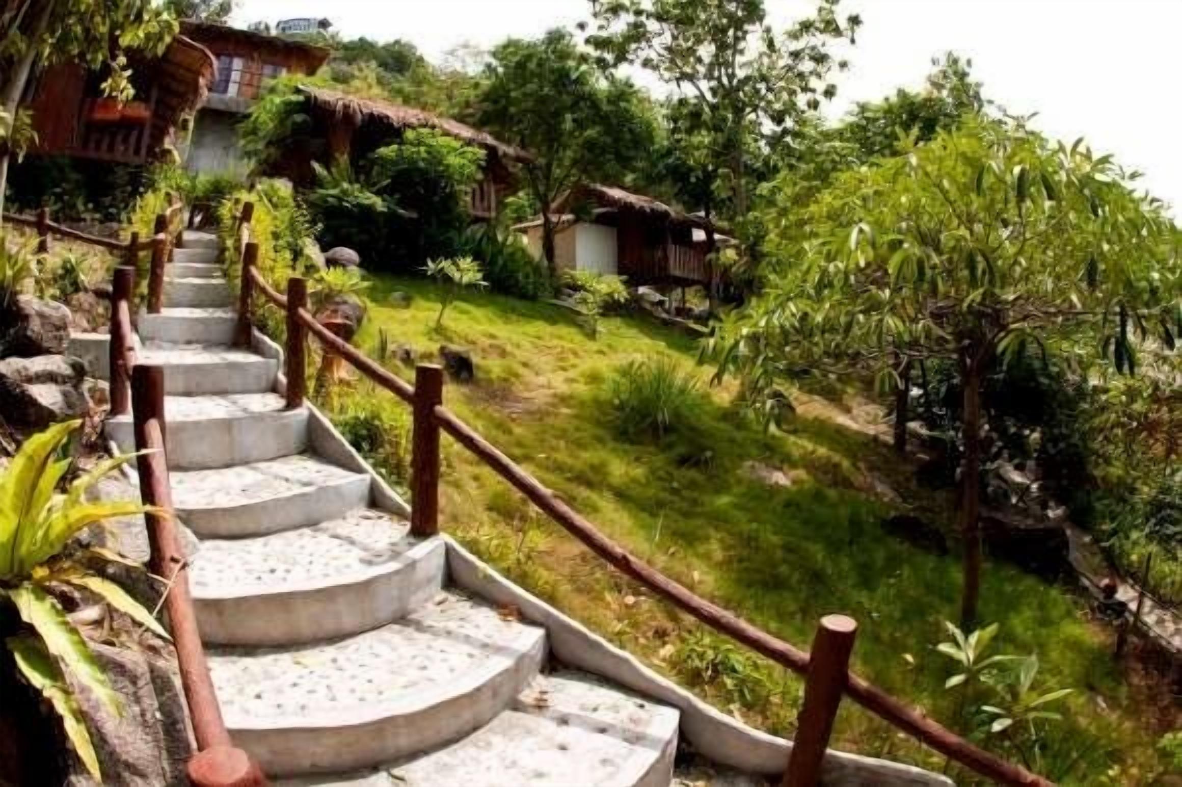 A set of concrete steps leading up to a traditional thatched-roof building surrounded by lush greenery.