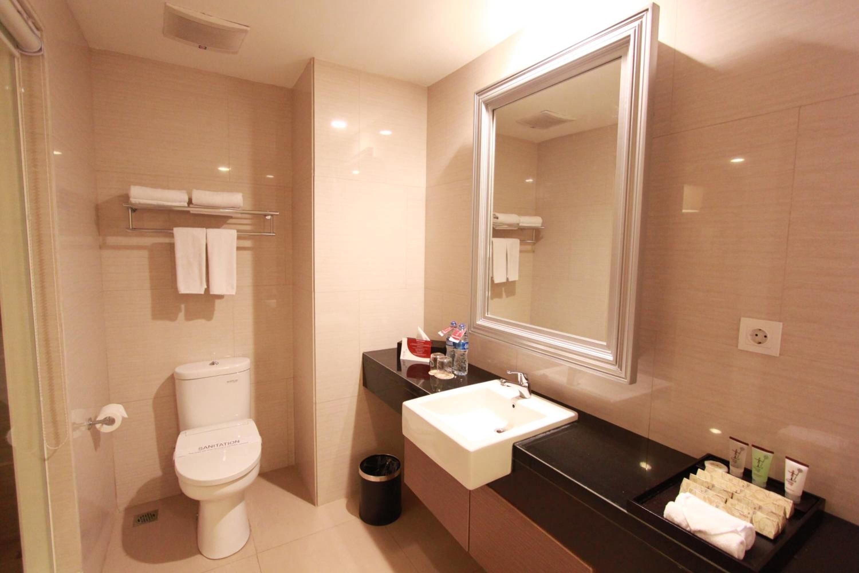 A modern bathroom with a toilet, sink, and large mirror.