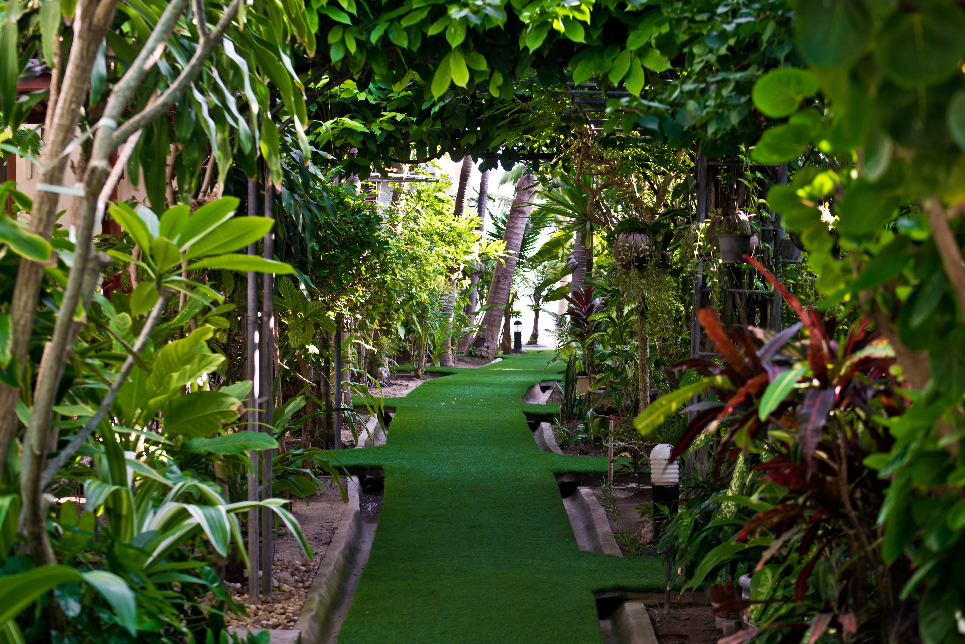Garden