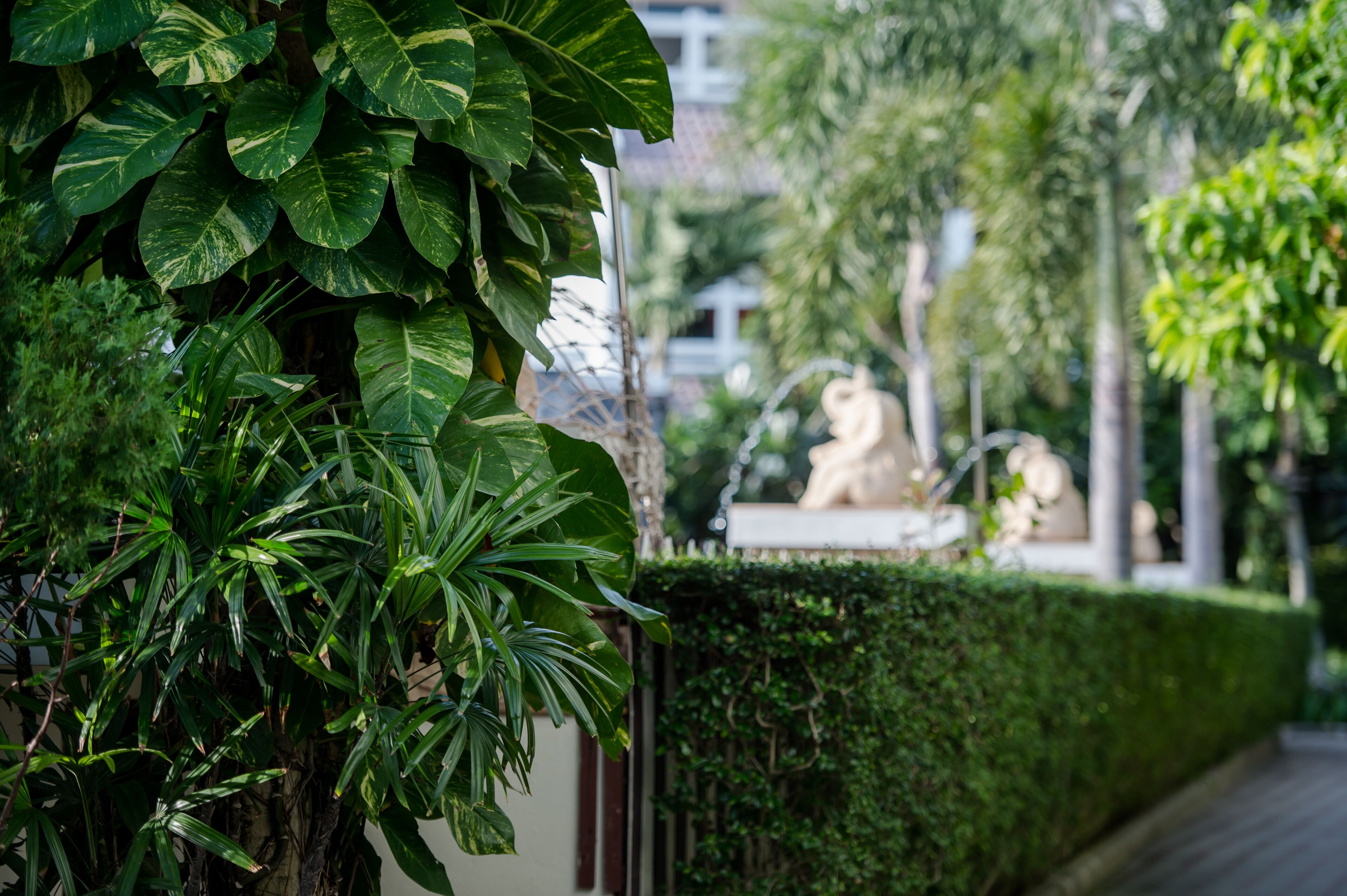 Photo - Neptune's Villa