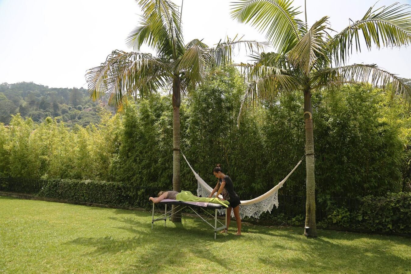 A hammock set up between two palm trees in a grassy area with dense foliage in the background.