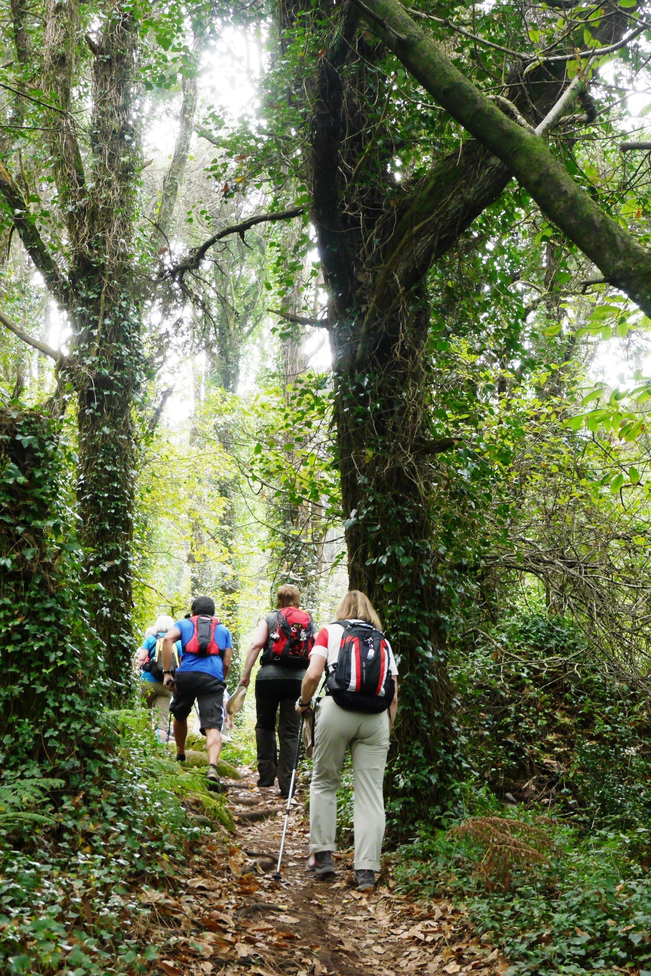 Foto - Casa do Valle