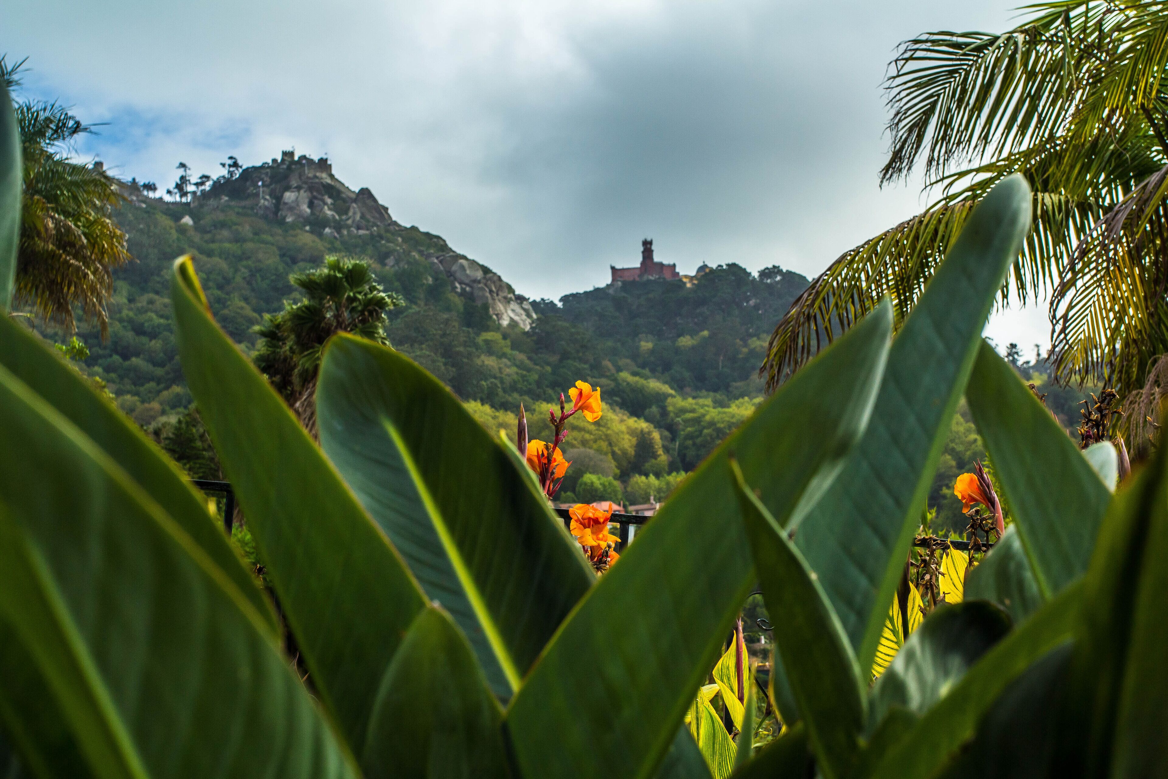 Foto - Casa do Valle