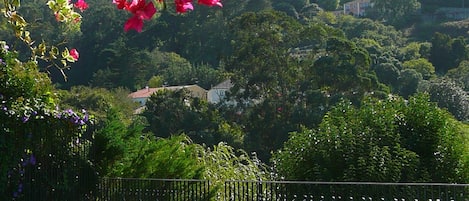 Outdoor pool, open 8:30 AM to 8 PM, pool loungers