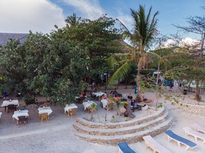 An outdoor dining area with tables and chairs, surrounded by trees and a palm tree.