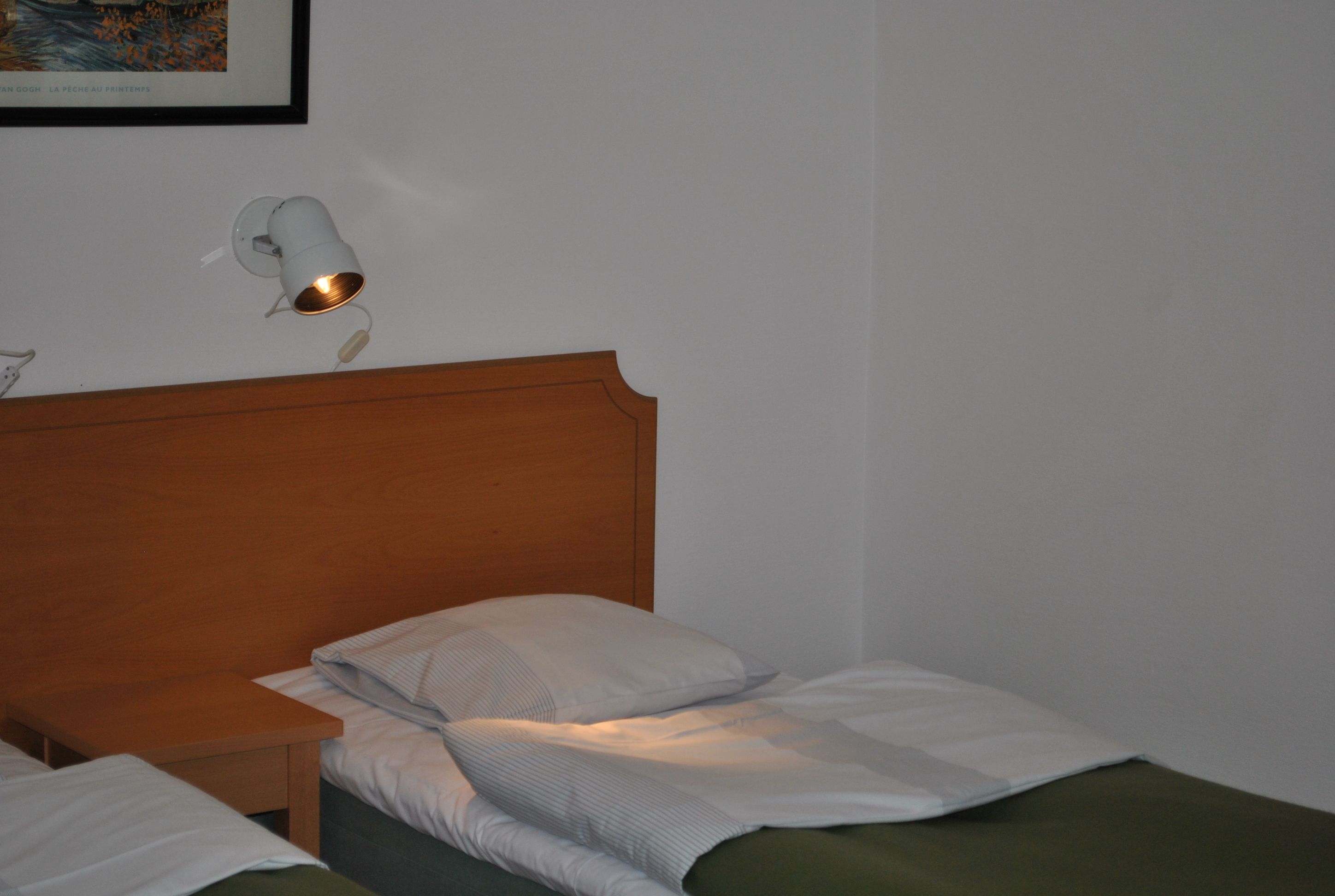 A single bed with a wooden headboard, a bedside table, and a wall-mounted light fixture.