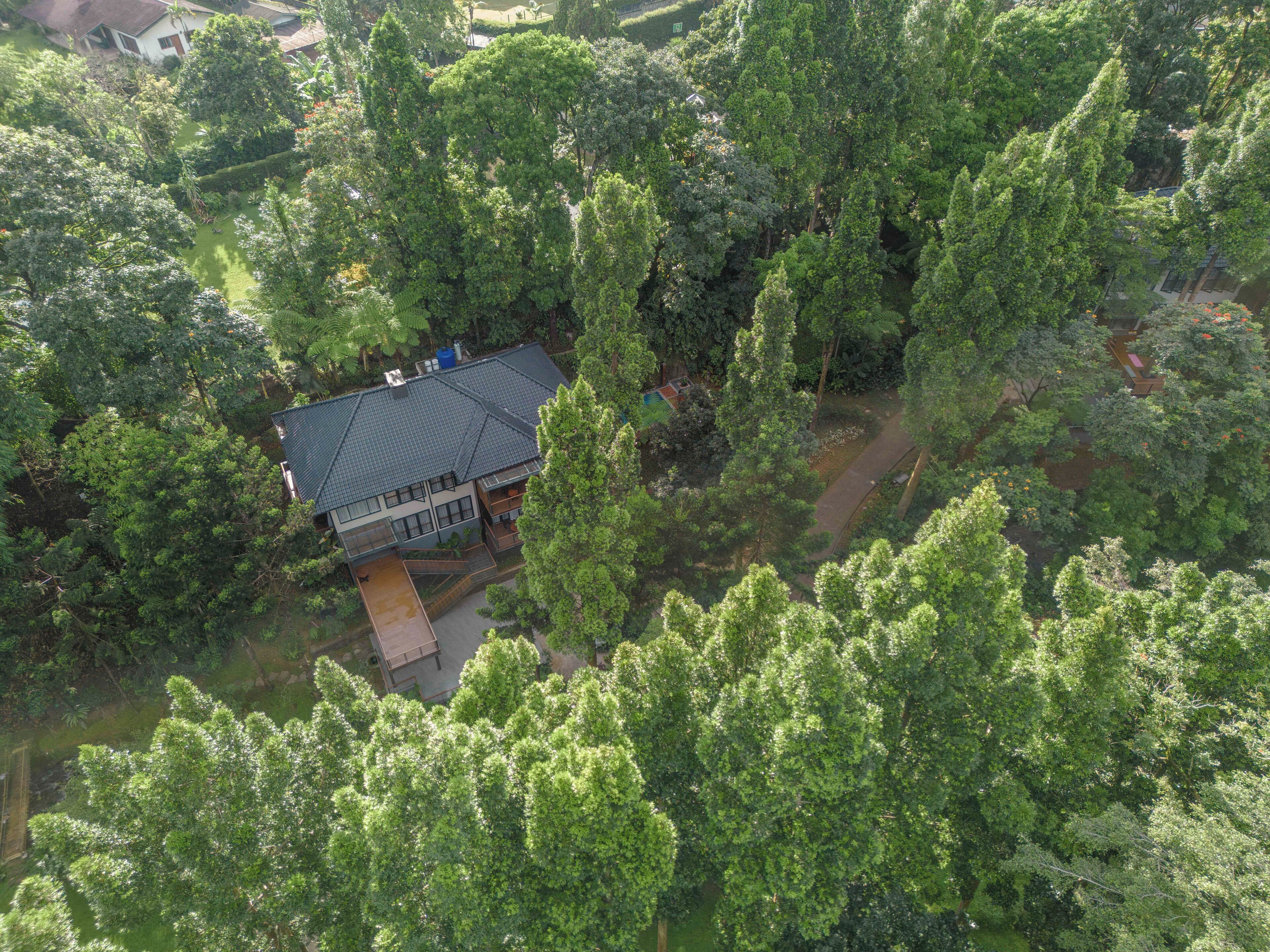 Vista aérea de una casa rodeada de abundante vegetación, con un camino de entrada visible y un pequeño jardín.